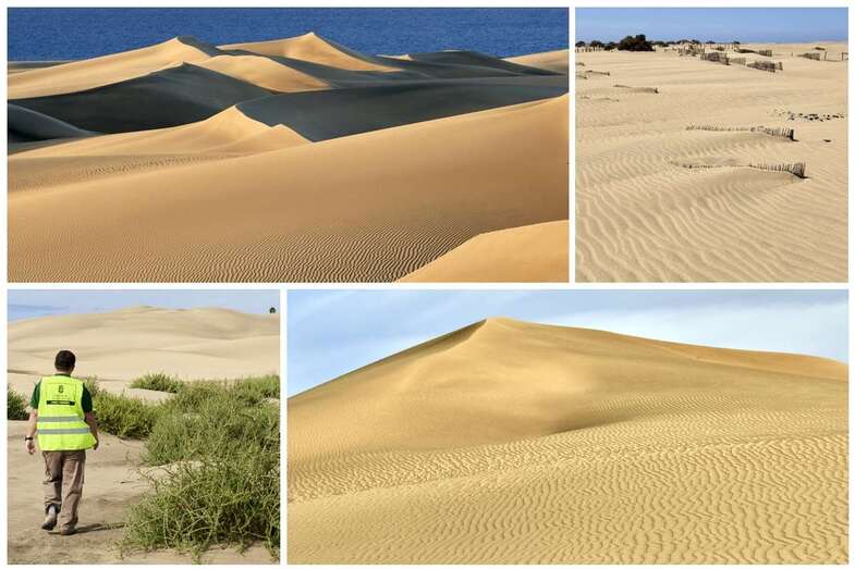 Collage de imágenes de las dunas (Foto Miguel Ángel Peña)